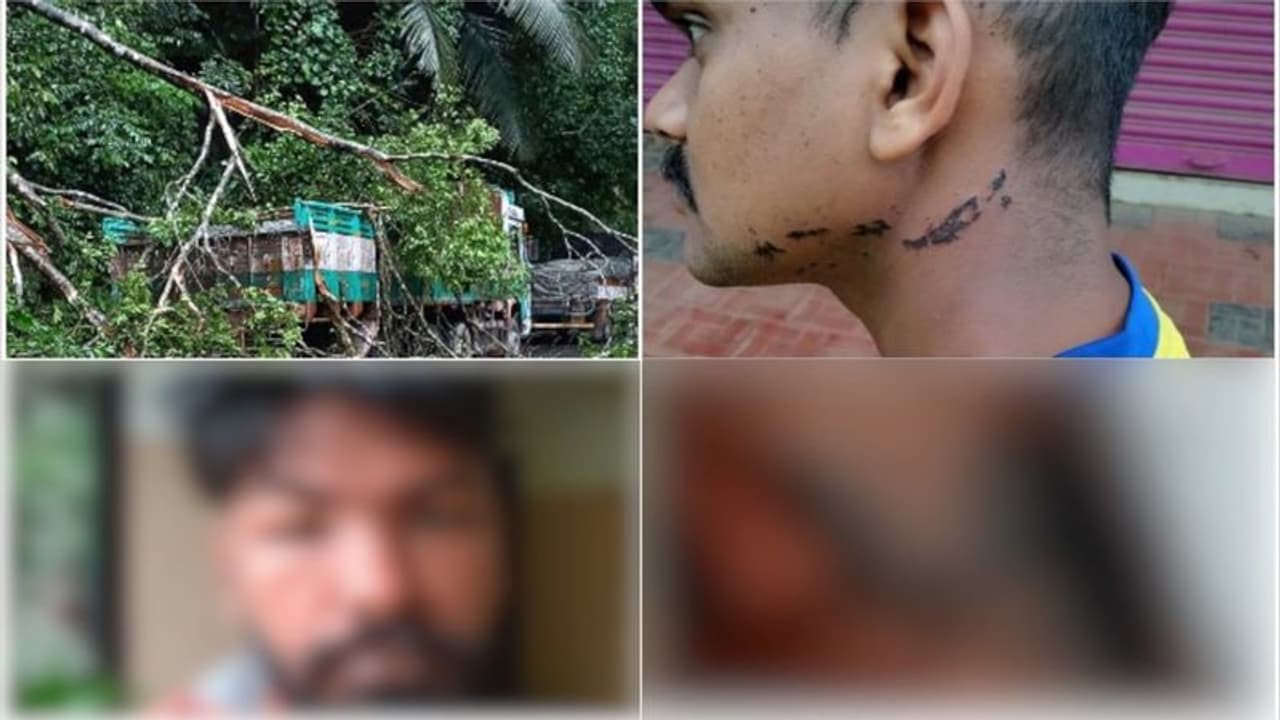 റോഡിൽ വീണ മരം മുറിച്ച് ആഴ്ച കഴിഞ്ഞിട്ടും ചൊറിച്ചിൽ, പൊള്ളൽ, ചർമ്മവും പൊന്തി; ചികിത്സ തുടരുന്നു, ഭയപ്പാടും റോഡിൽ വീണ മരം മുറിച്ച് ആഴ്ച കഴിഞ്ഞിട്ടും ചൊറിച്ചിൽ, പൊള്ളൽ, ചർമ്മവും പൊന്തി; ചികിത്സ തുടരുന്നു, ഭയപ്പാടും