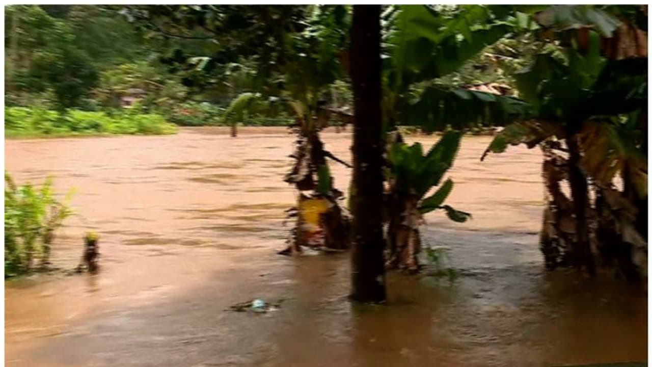 ഇടുക്കി,മുല്ലപ്പെരിയാർ ഡാമുകളിൽ ജലനിരപ്പ് ഉയർന്നു,മുല്ലപ്പെരിയാരിൽ നിന്ന് കൂടുതൽ വെള്ളമൊഴുക്കി തുടങ്ങി