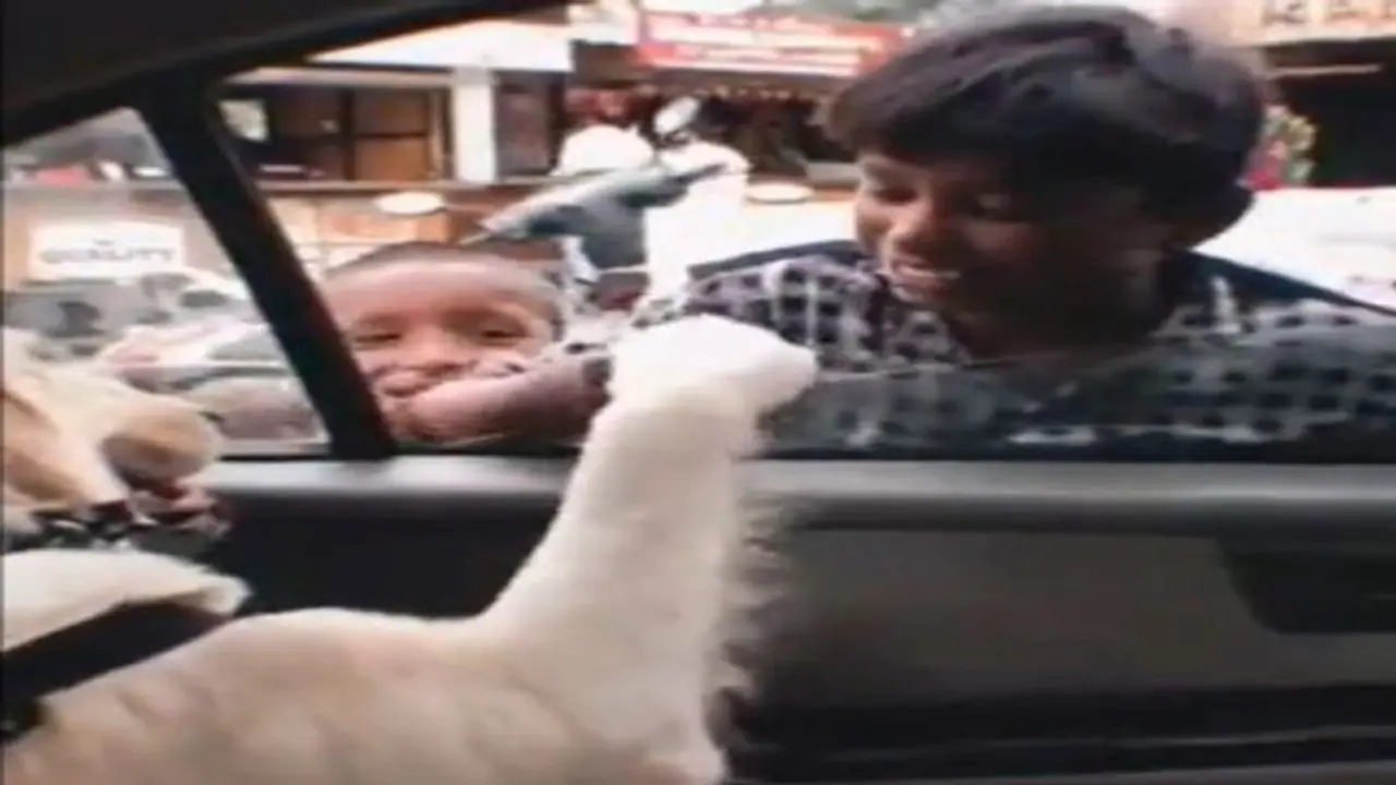 गुब्बारा बेचने वाले बच्चे और कुत्ते के बीच प्यार वाला वीडियो देखिए.. आप मुस्कुराएंगे और शायद रोएं भी गुब्बारा बेचने वाले बच्चे और कुत्ते के बीच प्यार वाला वीडियो देखिए.. आप मुस्कुराएंगे और शायद रोएं भी