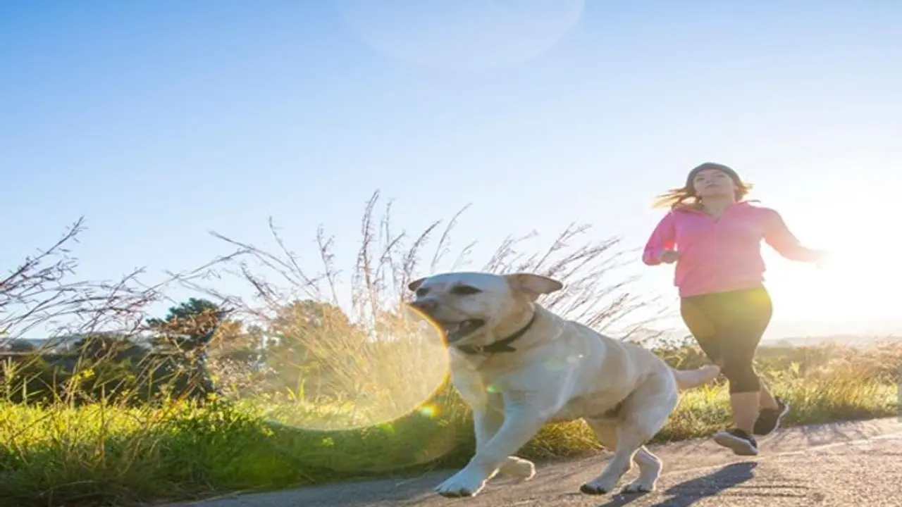 পার্ক না জিম? শরীরচর্চার সঠিক জায়গা কোনটি? 