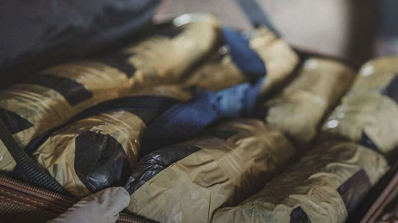 ബാഗില് ഒളിപ്പിച്ച് കൊണ്ടുവന്ന കൊക്കെയ്നുമായി യുവതി വിമാനത്താവളത്തില് അറസ്റ്റിലായി ബാഗില് ഒളിപ്പിച്ച് കൊണ്ടുവന്ന കൊക്കെയ്നുമായി യുവതി വിമാനത്താവളത്തില് അറസ്റ്റിലായി