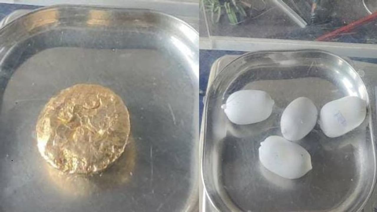 മലദ്വാരത്തിൽ ഒളിപ്പിച്ച നിലയിൽ 50 ലക്ഷത്തിന്റെ സ്വർണ്ണ മിശ്രിതം, കരിപ്പൂരിൽ വീണ്ടും സ്വർണം വേട്ട മലദ്വാരത്തിൽ ഒളിപ്പിച്ച നിലയിൽ 50 ലക്ഷത്തിന്റെ സ്വർണ്ണ മിശ്രിതം, കരിപ്പൂരിൽ വീണ്ടും സ്വർണം വേട്ട