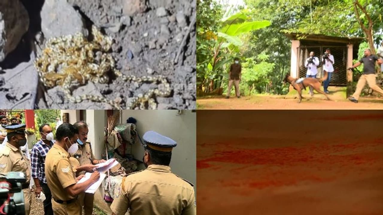 കോട്ടയത്തെ വൈദികന്‍റെ വീട്ടിലെ മോഷണത്തിൽ വന്‍ വഴിത്തിരിവ്; പുരോഹിതന്‍റെ മകന്‍ അറസ്റ്റില്‍