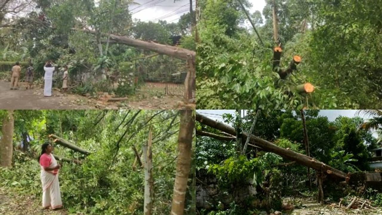 തൃശ്ശൂര് അന്നമനടയിൽ ചുഴലിക്കാറ്റിൽ വ്യാപകനാശം: ഇരുന്നൂറോളം മരങ്ങൾ നിലംപൊതി, ആറ് വീടുകൾക്ക് കേടുപാട് തൃശ്ശൂര് അന്നമനടയിൽ ചുഴലിക്കാറ്റിൽ വ്യാപകനാശം: ഇരുന്നൂറോളം മരങ്ങൾ നിലംപൊതി, ആറ് വീടുകൾക്ക് കേടുപാട്