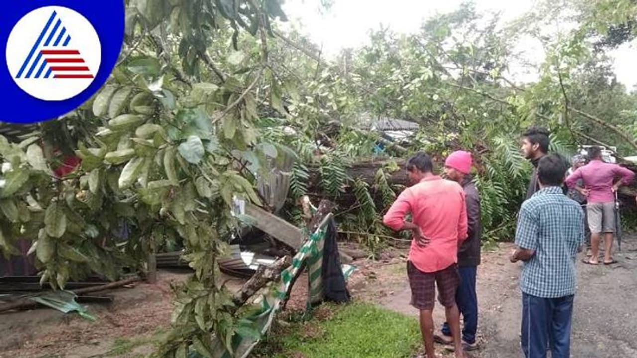 ಚಿಕ್ಕಮಗಳೂರಲ್ಲಿ ಭಾರೀ ಮಳೆ: ಮನೆ ಮೇಲೆ ಮರ ಬಿದ್ದು ಇಬ್ಬರ ದುರ್ಮರಣ ಚಿಕ್ಕಮಗಳೂರಲ್ಲಿ ಭಾರೀ ಮಳೆ: ಮನೆ ಮೇಲೆ ಮರ ಬಿದ್ದು ಇಬ್ಬರ ದುರ್ಮರಣ