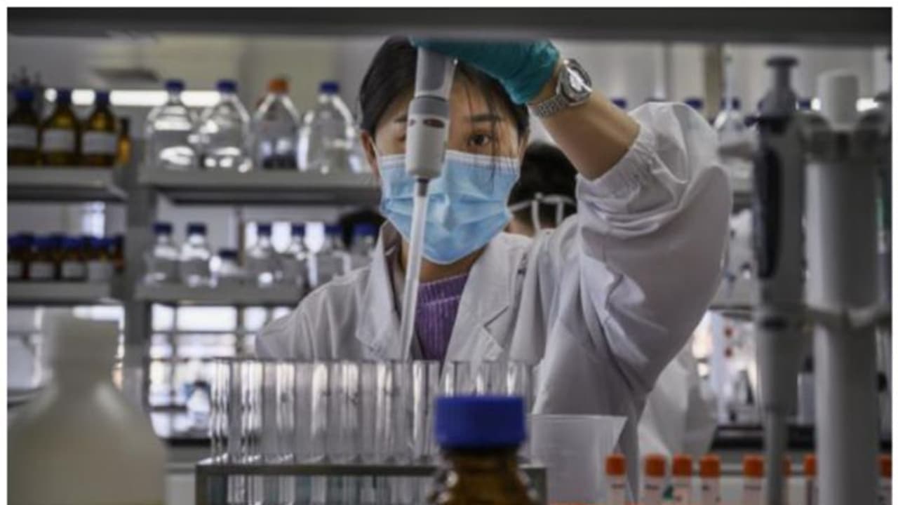 Langya Henipavirus : കൊവിഡിന് പിന്നാലെ ചൈനയിൽ മറ്റൊരു വെെറസ് ബാധ; 35 പേരെ രോ​ഗം ബാധിച്ചു