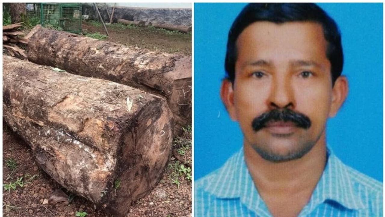 കാട്ടിൽ നിന്ന് തേക്ക് മരം മുറിച്ച് കടത്തിയ കേസ്; സിപിഎം ബ്രാഞ്ച് സെക്രട്ടറി അറസ്റ്റിൽ