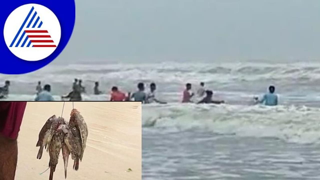 Udupi; ಸಮುದ್ರದಲ್ಲಿ ರಾಶಿ ರಾಶಿ ಹೊಳೆ ಮೀನುಗಳು, ರಾತ್ರಿ ಹಗಲೆನ್ನದೆ ಕಾಯೋ ಜನ