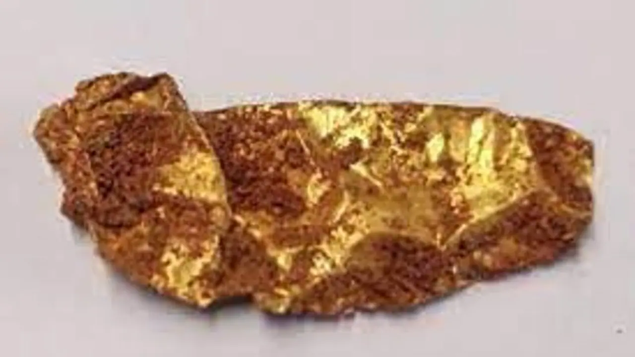 அகழாய்வில் தங்கம் கண்டெடுப்பு.. ஆதிச்சநல்லூரை தொடர்ந்து சிவகளையில் தங்கம் கண்டெடுப்பு அகழாய்வில் தங்கம் கண்டெடுப்பு.. ஆதிச்சநல்லூரை தொடர்ந்து சிவகளையில் தங்கம் கண்டெடுப்பு