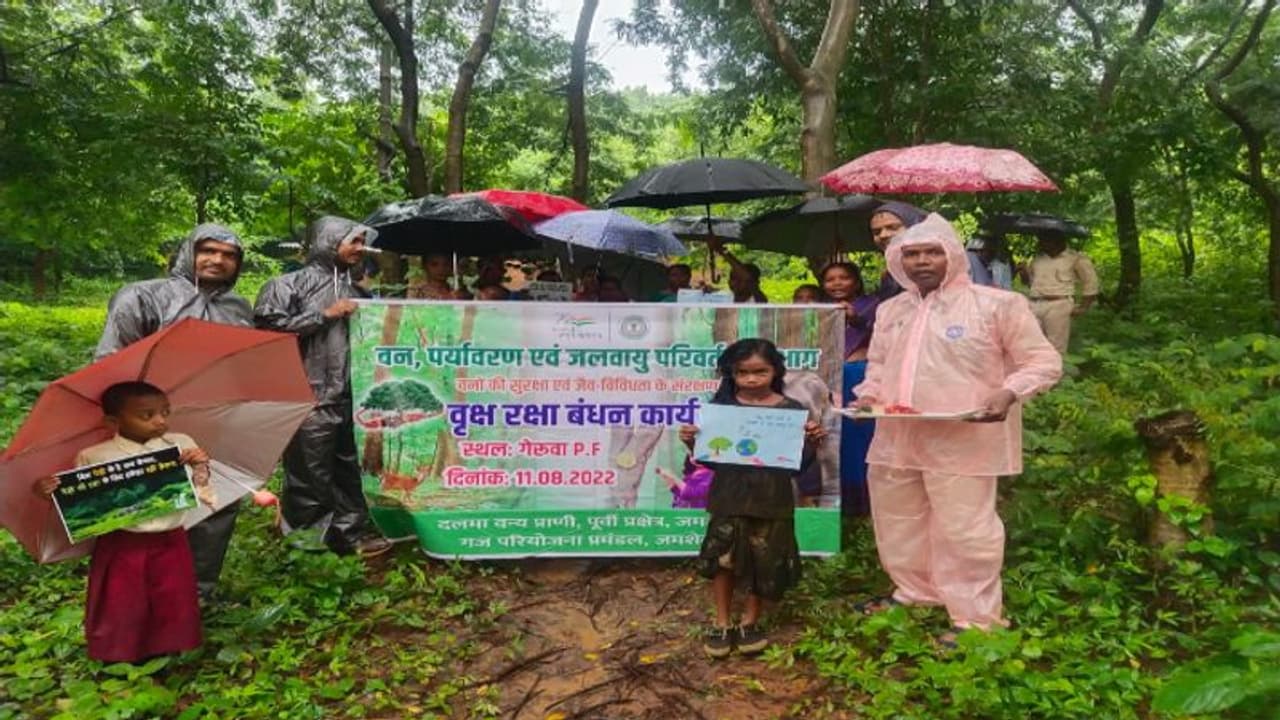 झारखंड में अनोखे तरह से मन रहा रक्षाबंधन:पेड़ो पर तिलक कर राखी बांध रही महिलाएं, 2 दिन तक चलेगा ट्री कार्यक्रम झारखंड में अनोखे तरह से मन रहा रक्षाबंधन:पेड़ो पर तिलक कर राखी बांध रही महिलाएं, 2 दिन तक चलेगा ट्री कार्यक्रम