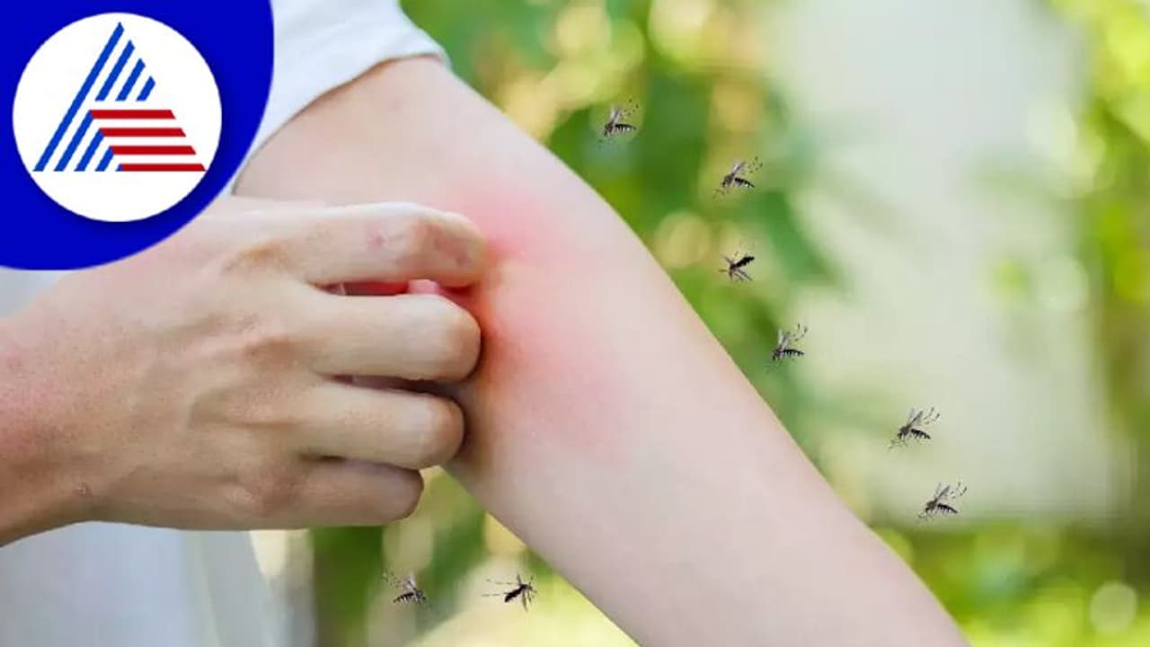 கொசுக்கள் சிலரை மட்டும் ஏன் அதிகம் கடிக்குது தெரியுமா..? கொசுக்கள் சிலரை மட்டும் ஏன் அதிகம் கடிக்குது தெரியுமா..?