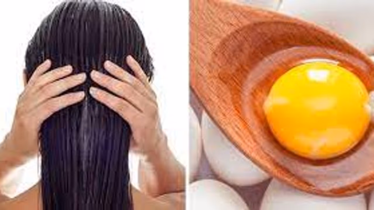 മുടിയെ കരുത്തുള്ളതാക്കാൻ പരീക്ഷിക്കാം മുട്ട കൊണ്ടുള്ള ഹെയർ പാക്കുകൾ