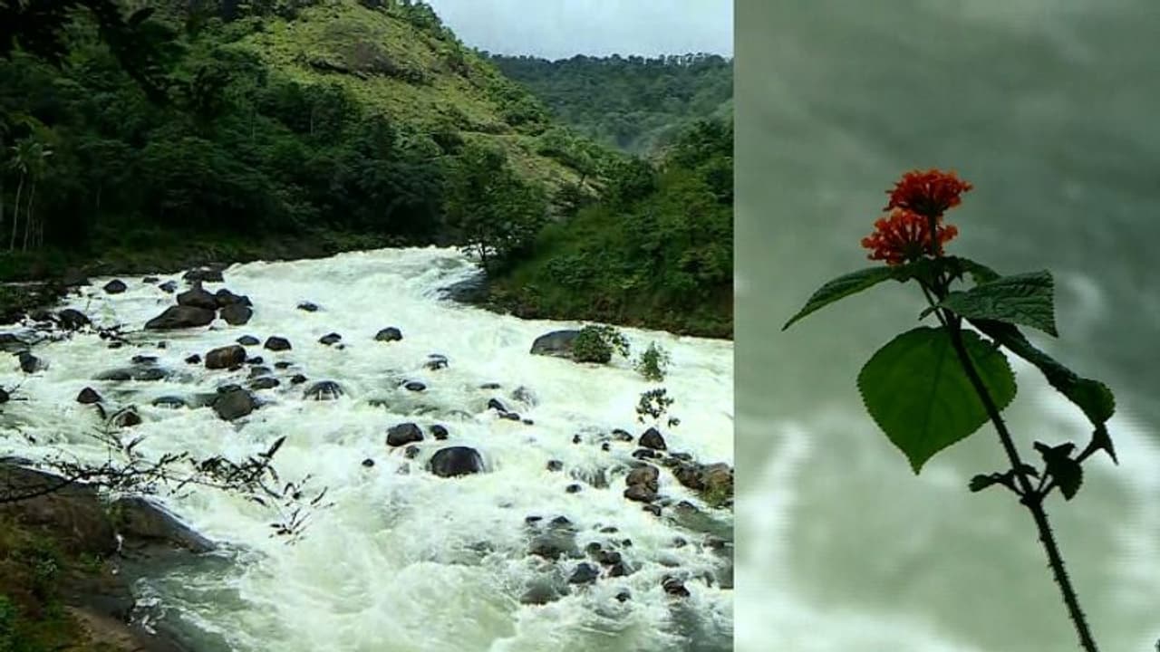 ഇടുക്കിയിൽ ആശ്വാസം; വിനോദസഞ്ചാരത്തിനുള്ള വിലക്ക് നീക്കി, ഖനന പ്രവർത്തനങ്ങൾ തുടരാം