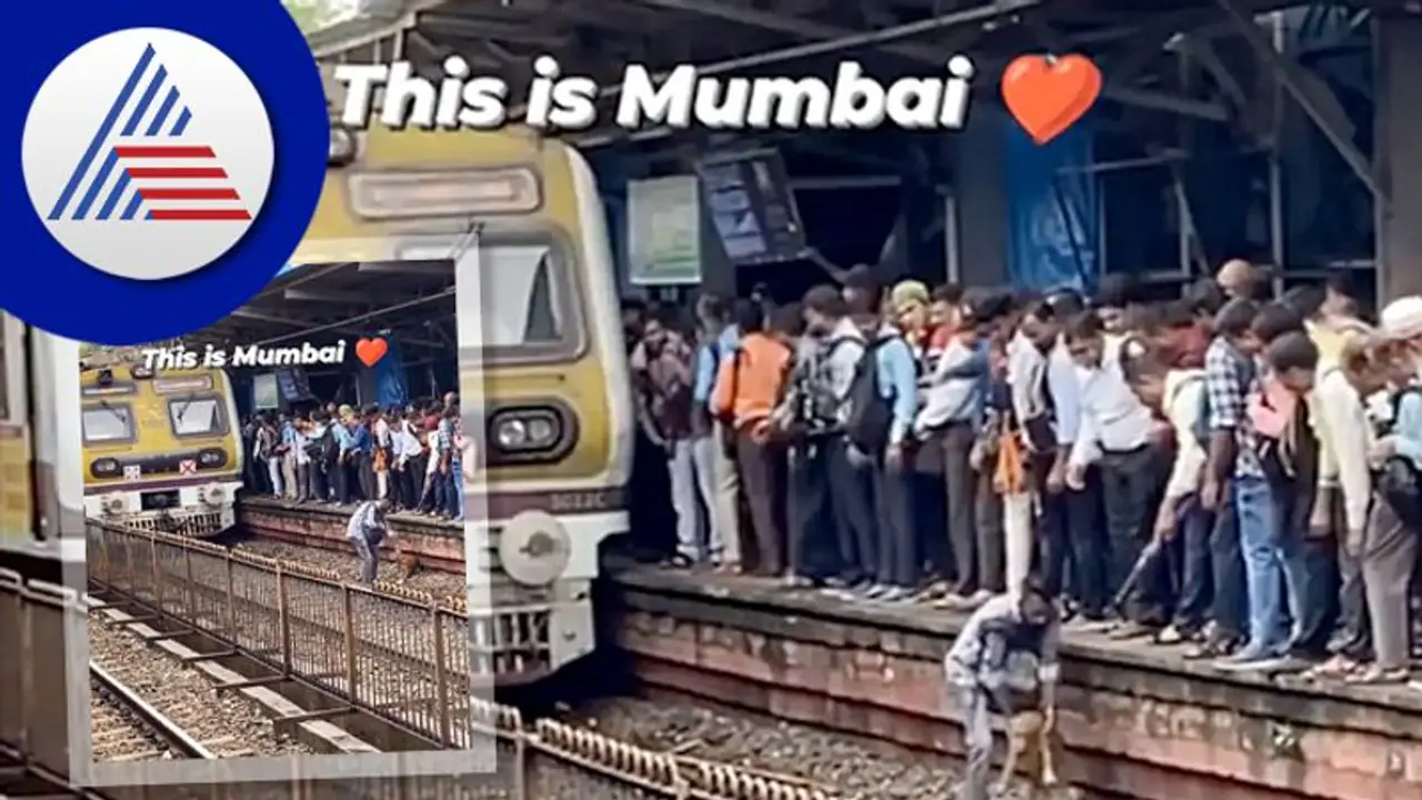 ರೈಲು ಬರುವುದನ್ನು ಲೆಕ್ಕಿಸದೇ ಹಳಿಯಲ್ಲಿದ್ದ ಬೀದಿನಾಯಿಯ ರಕ್ಷಣೆ: ಯುವಕನ ಕಾರ್ಯಕ್ಕೆ ಶ್ಲಾಘನೆ ರೈಲು ಬರುವುದನ್ನು ಲೆಕ್ಕಿಸದೇ ಹಳಿಯಲ್ಲಿದ್ದ ಬೀದಿನಾಯಿಯ ರಕ್ಷಣೆ: ಯುವಕನ ಕಾರ್ಯಕ್ಕೆ ಶ್ಲಾಘನೆ