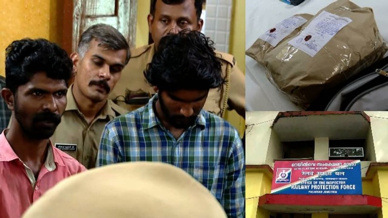 പാലക്കാട് വൻ മയക്കുമരുന്ന് വേട്ട; 10 കോടിയുടെ ഹാഷിഷ് ഓയിൽ പിടികൂടി പാലക്കാട് വൻ മയക്കുമരുന്ന് വേട്ട; 10 കോടിയുടെ ഹാഷിഷ് ഓയിൽ പിടികൂടി