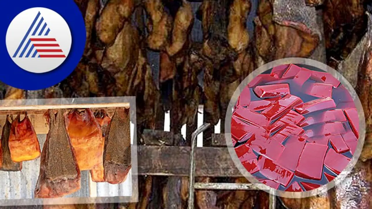 Food Habits in World: ಹಸುವಿನ ರಕ್ತ, ಕೊಳೆತ ಶಾರ್ಕ್ ಮಾಂಸ… ಅಬ್ಬಬ್ಬಾ, ಏನೆಲ್ಲ ತಿಂತಾರೆ ಗೊತ್ತಾ Food Habits in World: ಹಸುವಿನ ರಕ್ತ, ಕೊಳೆತ ಶಾರ್ಕ್ ಮಾಂಸ… ಅಬ್ಬಬ್ಬಾ, ಏನೆಲ್ಲ ತಿಂತಾರೆ ಗೊತ್ತಾ