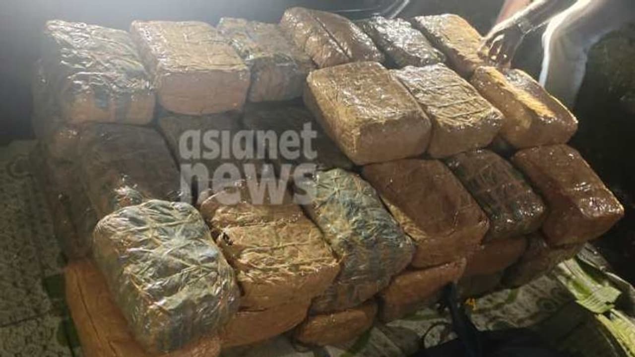 വൻ കഞ്ചാവ് വേട്ട; വഴിക്കടവ് ചെക്പോസ്റ്റിൽ പിടികൂടിയത് 150 കിലോഗ്രാം, 5 പേർ പിടിയിൽ വൻ കഞ്ചാവ് വേട്ട; വഴിക്കടവ് ചെക്പോസ്റ്റിൽ പിടികൂടിയത് 150 കിലോഗ്രാം, 5 പേർ പിടിയിൽ