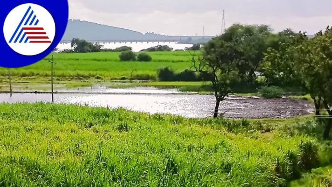 ಡ್ಯಾಂಗಳಿಂದ ಭಾರೀ ನೀರು ಬಿಡುಗಡೆ: ಉತ್ತರ ಕರ್ನಾಟಕದಲ್ಲಿ ಇನ್ನೂ ಪ್ರವಾಹ ಭೀತಿ ಡ್ಯಾಂಗಳಿಂದ ಭಾರೀ ನೀರು ಬಿಡುಗಡೆ: ಉತ್ತರ ಕರ್ನಾಟಕದಲ್ಲಿ ಇನ್ನೂ ಪ್ರವಾಹ ಭೀತಿ