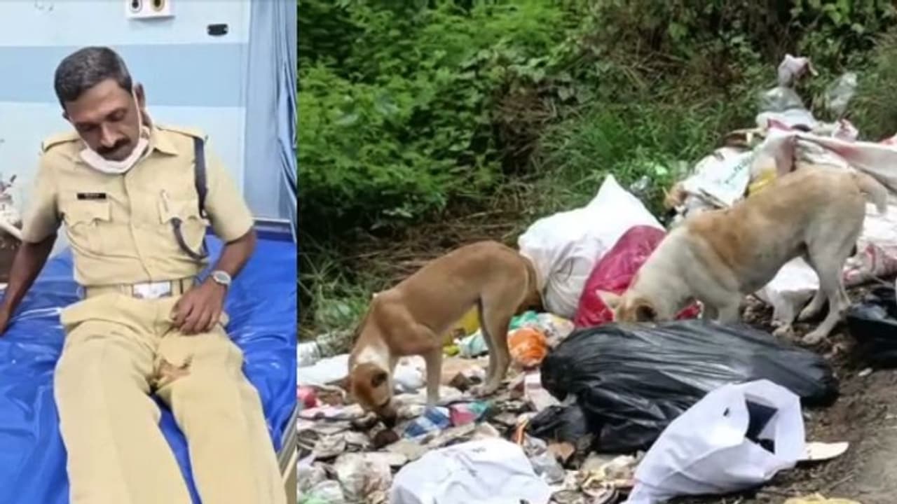 കായംകുളത്ത് തെരുവുനായ ആക്രമണം; 9 പേർക്ക് പരിക്ക് കായംകുളത്ത് തെരുവുനായ ആക്രമണം; 9 പേർക്ക് പരിക്ക്