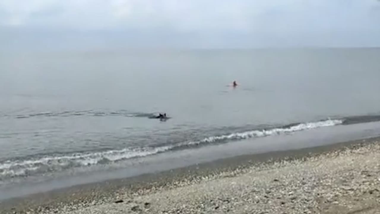 തലസ്ഥാനത്ത് വള്ളം മറിഞ്ഞ് കാണാതായവരിൽ ഒരാളുടെ മൃതദേഹം കിട്ടി, ആളെ തിരിച്ചറിഞ്ഞു തലസ്ഥാനത്ത് വള്ളം മറിഞ്ഞ് കാണാതായവരിൽ ഒരാളുടെ മൃതദേഹം കിട്ടി, ആളെ തിരിച്ചറിഞ്ഞു