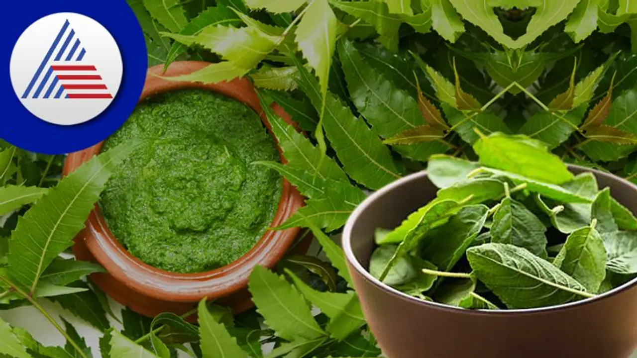 Kitchen Hacks: ಸೊಪ್ಪಿನ ಅಡುಗೆ ಮಾಡೋ ಮೊದಲು ಈ ಕೆಲಸ ಮಾಡಿ Kitchen Hacks: ಸೊಪ್ಪಿನ ಅಡುಗೆ ಮಾಡೋ ಮೊದಲು ಈ ಕೆಲಸ ಮಾಡಿ