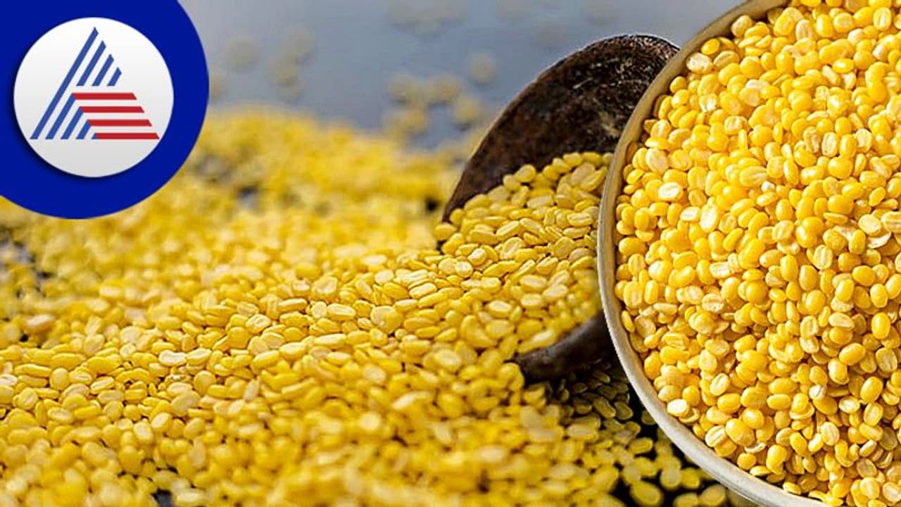 Kitchen Tips: ಹೆಸರು ಬೇಳೆ ಖರೀದಿಸುವಾಗ ಈ ವಿಚಾರ ಗಮನದಲ್ಲಿರಲಿ Kitchen Tips: ಹೆಸರು ಬೇಳೆ ಖರೀದಿಸುವಾಗ ಈ ವಿಚಾರ ಗಮನದಲ್ಲಿರಲಿ