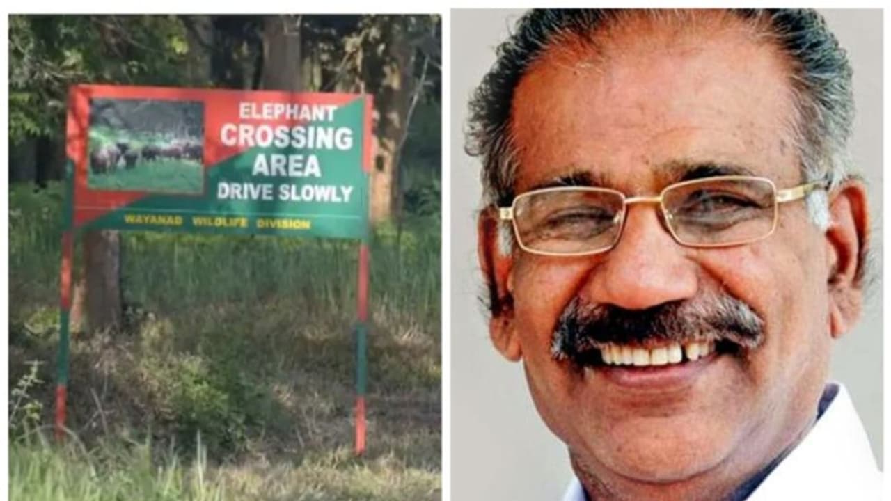 ബഫർ സോൺ; സുപ്രീം കോടതിയെ സമീപിക്കുമെന്ന കേന്ദ്ര വനം പരിസ്ഥിതി മന്ത്രിയുടെ പ്രസ്താവന സ്വാഗതാർഹം: എ കെ ശശീന്ദ്രൻ