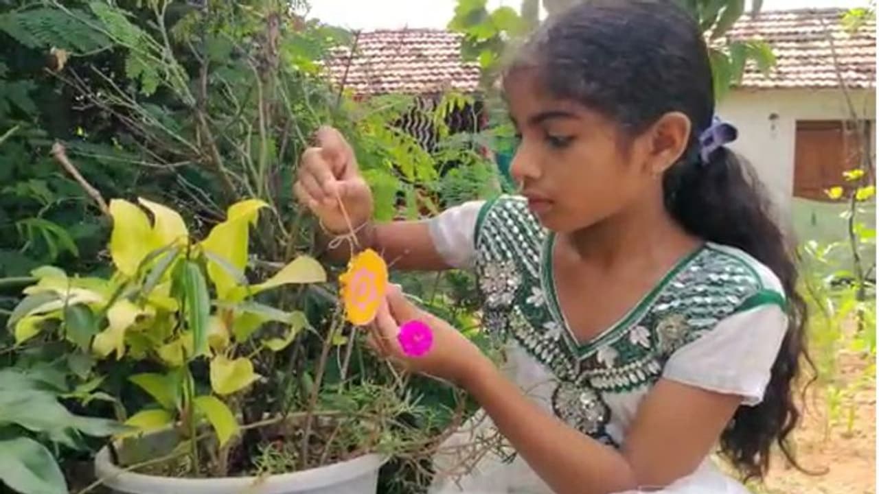 raksha bandhan: 75 చెట్లకు రాఖీకట్టిన చిన్నారి .. వీడియో వైరల్ raksha bandhan: 75 చెట్లకు రాఖీకట్టిన చిన్నారి .. వీడియో వైరల్