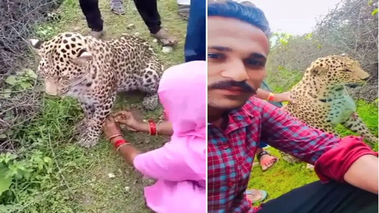 राजस्थान में मायके जाते समय महिला ने रास्ते में मनाई अनोखी राखीःसोशल मीडिया में हो रहा वीडियो वायरल,देखे आप भी राजस्थान में मायके जाते समय महिला ने रास्ते में मनाई अनोखी राखीःसोशल मीडिया में हो रहा वीडियो वायरल,देखे आप भी