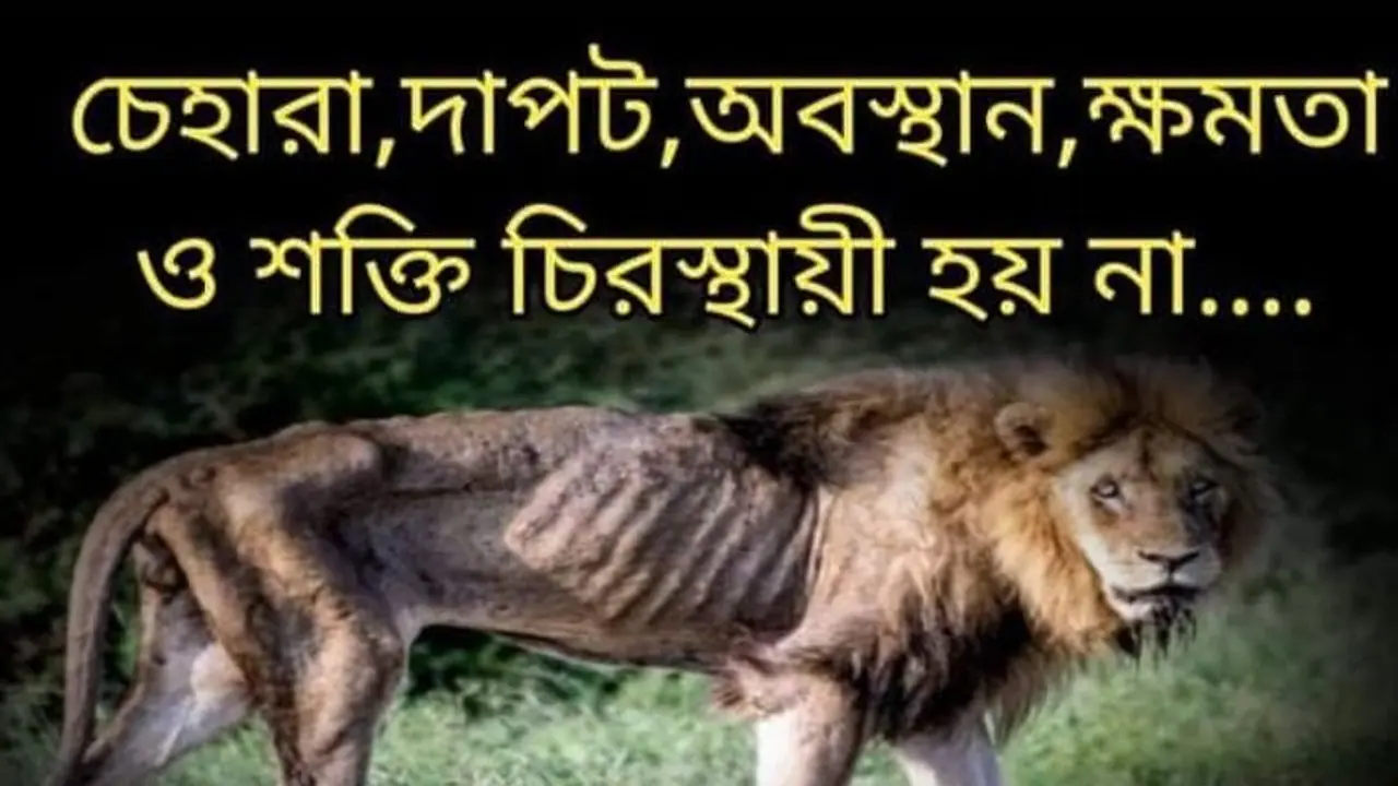 অনুব্রত মণ্ডল গ্রেফতার হতেই স্বমহিমায় প্রতিপক্ষ কাজল শেখ, রোগা সিংহের ছবি ঘিরে তুমুল বিতর্ক অনুব্রত মণ্ডল গ্রেফতার হতেই স্বমহিমায় প্রতিপক্ষ কাজল শেখ, রোগা সিংহের ছবি ঘিরে তুমুল বিতর্ক