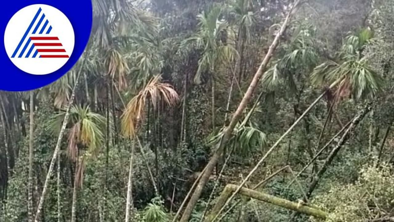 ಮಲೆನಾಡಿನಲ್ಲಿ ಮಳೆ ಆರ್ಭಟ ಕಡಿಮೆ ಆಗಿದ್ದರೂ ಅನಾಹುತ ಸರಣಿ: ಸಿ.ಟಿ.ರವಿ ಸ್ವಗ್ರಾಮದಲ್ಲಿ ಭೂ ಕುಸಿತ