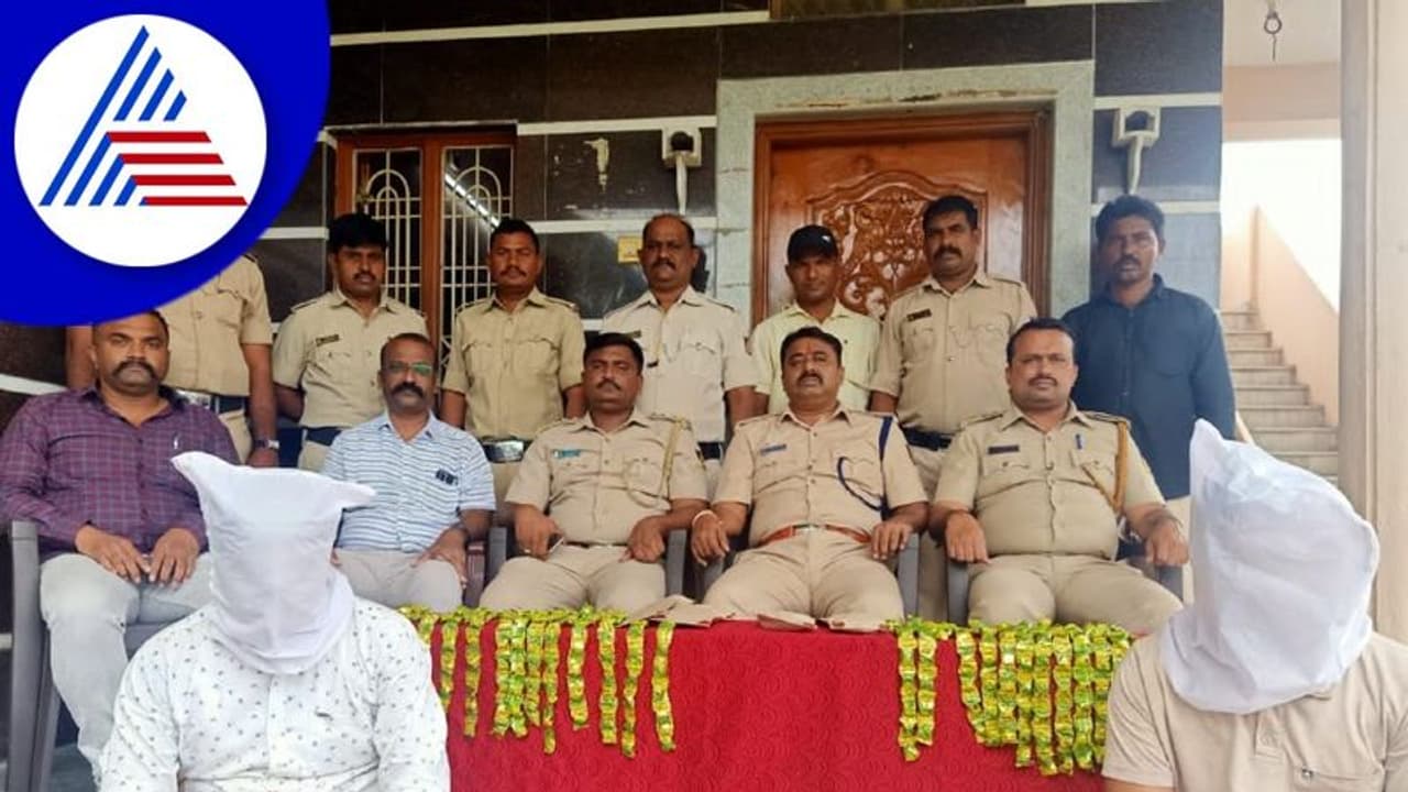 ಪಾನ್ ಶಾಪ್‌ನಲ್ಲಿಯೇ ಗಾಂಜಾ ಮಿಶ್ರಿತ ಚಾಕೊಲೇಟ್ ಮಾರಾಟ ದಂಧೆ: ಇಬ್ಬರ ಬಂಧನ