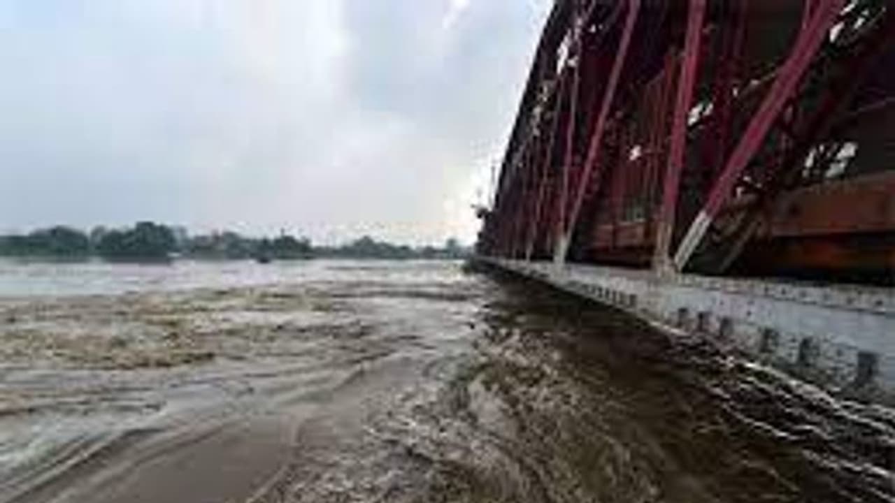 அபாய அளவை தாண்டிய யமுனை.. ஆபத்தில் தலைநகரம் .. தாழ்வான பகுதி மக்களுக்கு அதிகாரிகள் எச்சரிக்கை அபாய அளவை தாண்டிய யமுனை.. ஆபத்தில் தலைநகரம் .. தாழ்வான பகுதி மக்களுக்கு அதிகாரிகள் எச்சரிக்கை