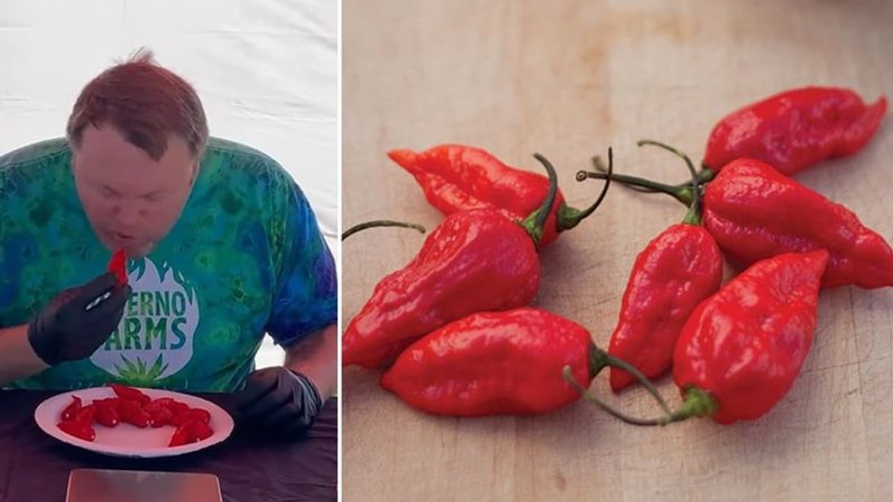 റെക്കോര്‍ഡ് സ്ഥാപിക്കാൻ വേണ്ടി ലോകത്തിലെ ഏറ്റവും എരിവേറിയ മുളക് കഴിക്കുന്നു; വീഡിയോ