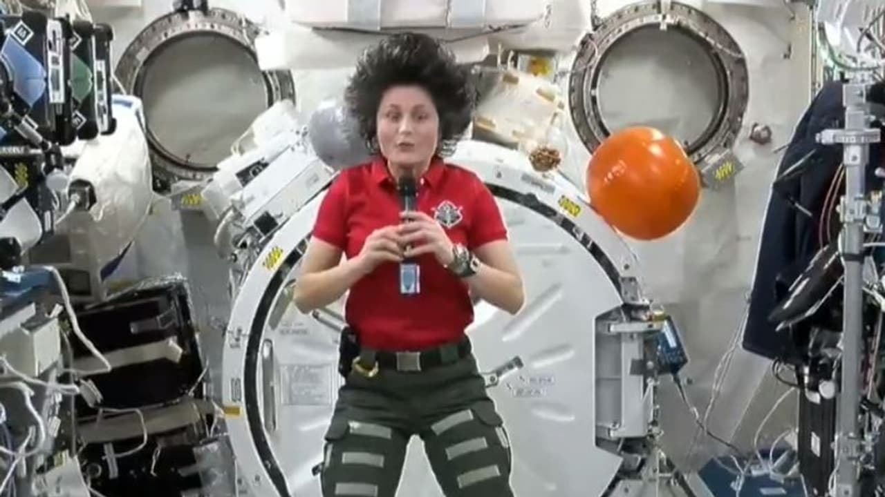 आजादी का अमृत महोत्सव: स्पेस स्टेशन से मिली भारत को बधाई, इटैलियन एस्ट्रोनॉट ने कहा 'स्काई इज नॉट लिमिट' आजादी का अमृत महोत्सव: स्पेस स्टेशन से मिली भारत को बधाई, इटैलियन एस्ट्रोनॉट ने कहा 'स्काई इज नॉट लिमिट'