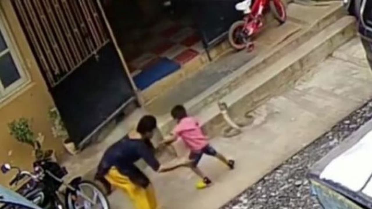 मां ने कैसे विशालकाय कोबरा से अपने बच्चे को बचाया.. देखिए दिल दहलाने वाला वीडियो 