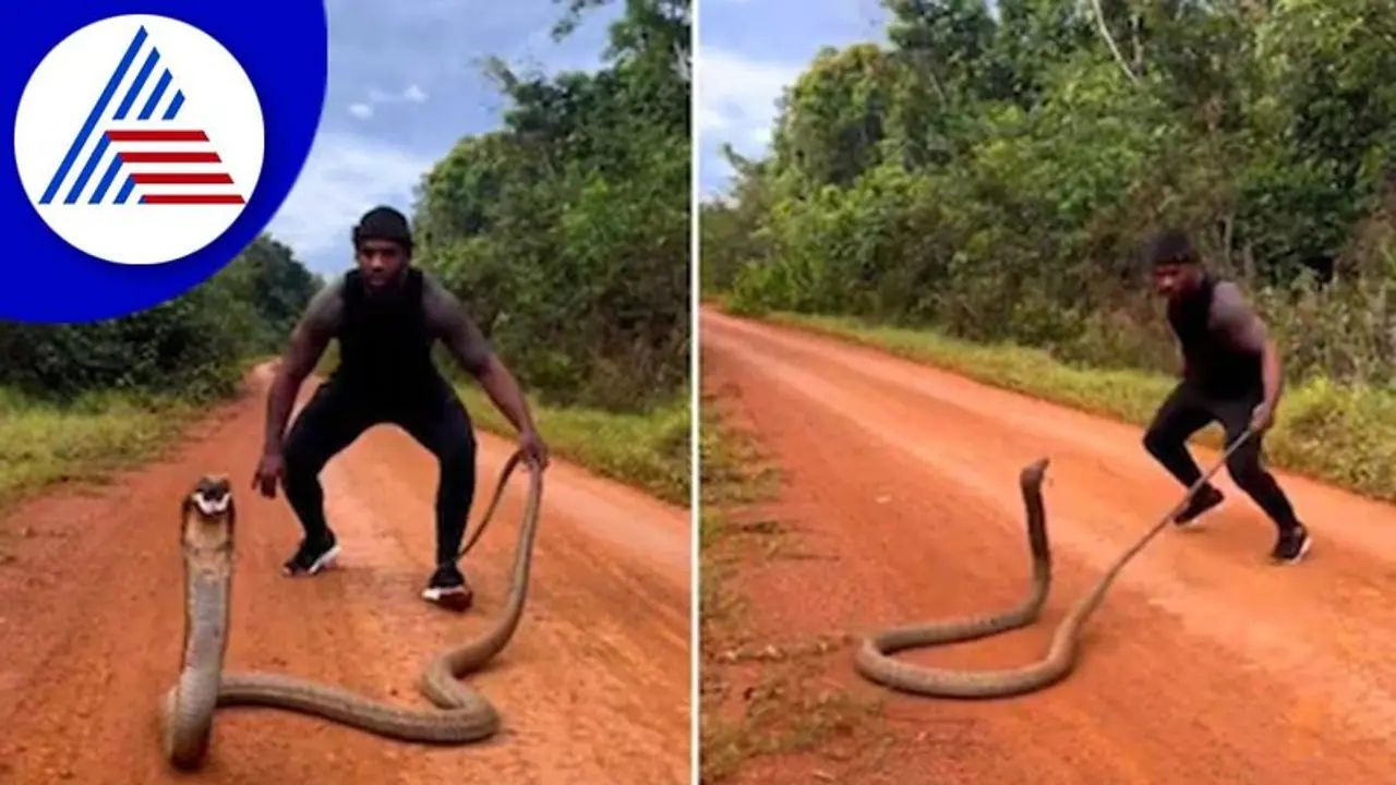 ದೈತ್ಯ ಹಾವಿನೊಂದಿಗೆ ಯುವಕನ ಚೆಲ್ಲಾಟ: ಫೋಟೋಗೆ ಸಖತ್ ಪೋಸ್