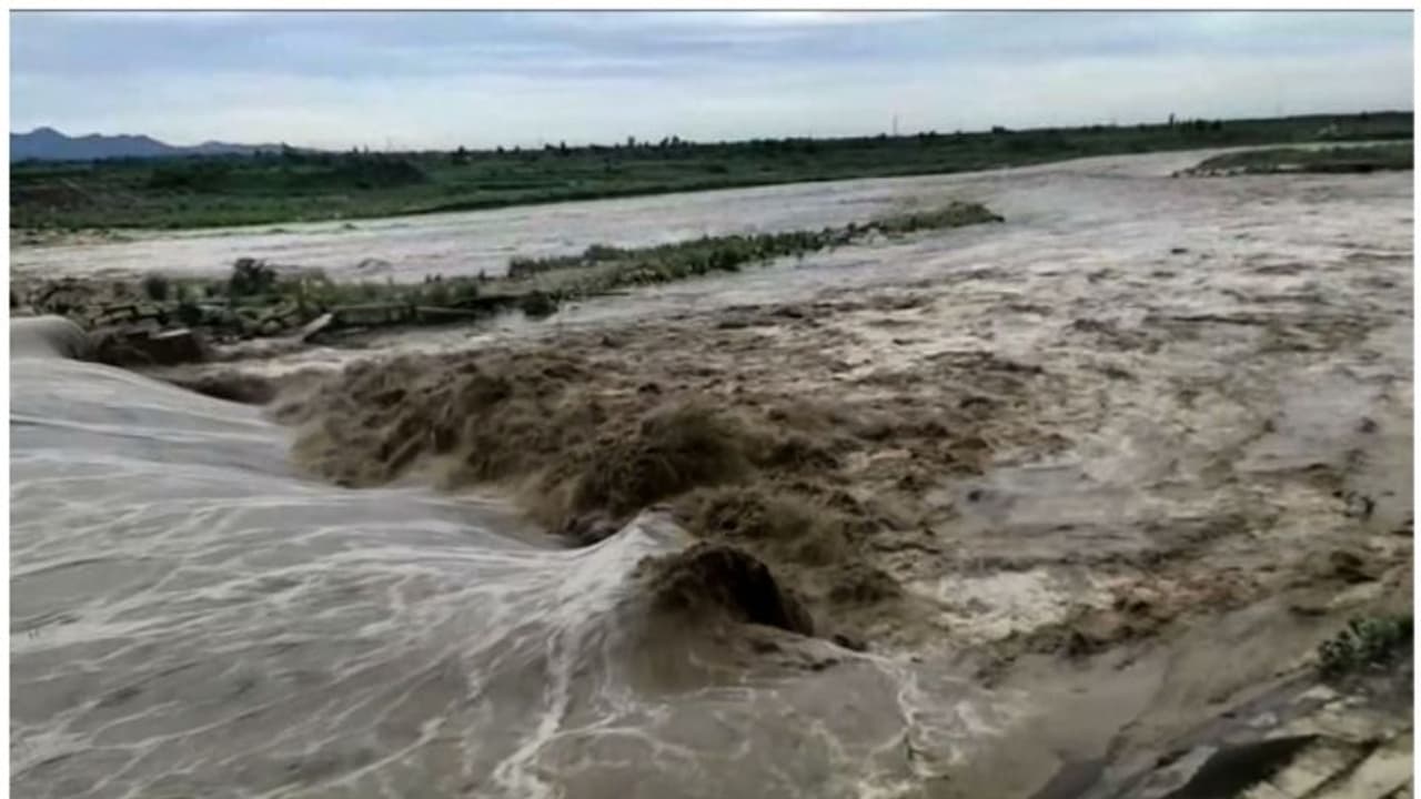 യമുന കരകവിഞ്ഞു,താഴ്ന്ന പ്രദേശങ്ങളിലും വീടുകളിലും വെള്ളം കയറി, ജനം ദുരിതത്തിൽ യമുന കരകവിഞ്ഞു,താഴ്ന്ന പ്രദേശങ്ങളിലും വീടുകളിലും വെള്ളം കയറി, ജനം ദുരിതത്തിൽ