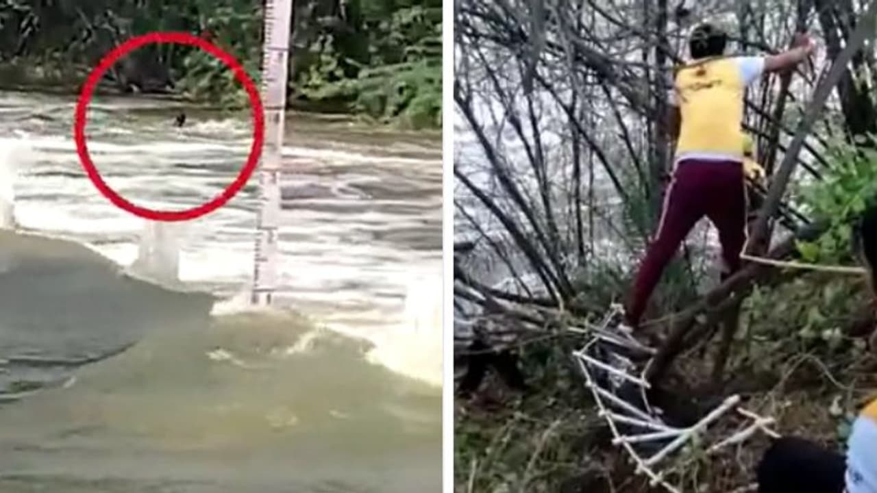 नई बाइक के साथ उफनती नदी में बहा युवक...बचाने के लिए चिल्लाता रहा, 24 घंटे बाद भी नहीं मिली लाश नई बाइक के साथ उफनती नदी में बहा युवक...बचाने के लिए चिल्लाता रहा, 24 घंटे बाद भी नहीं मिली लाश