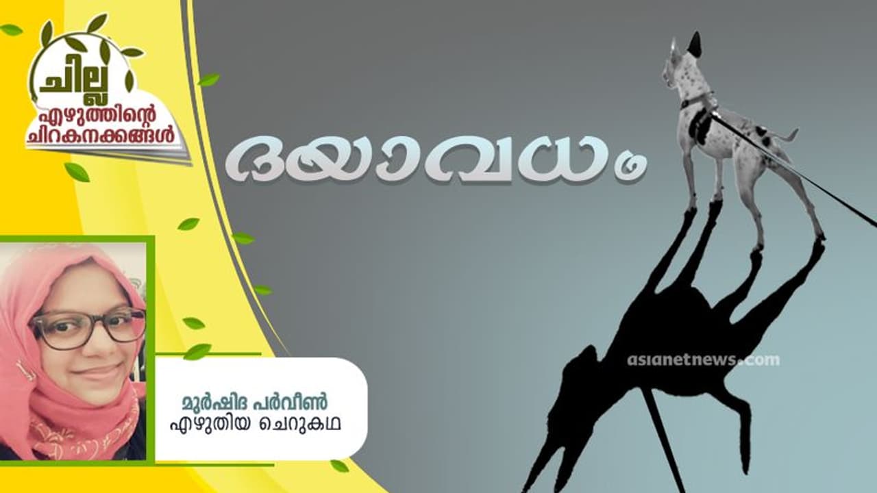 Malayalam Short Story : ദയാവധം, മുര്ഷിദ പര്വീണ് എഴുതിയ ചെറുകഥ Malayalam Short Story : ദയാവധം, മുര്ഷിദ പര്വീണ് എഴുതിയ ചെറുകഥ