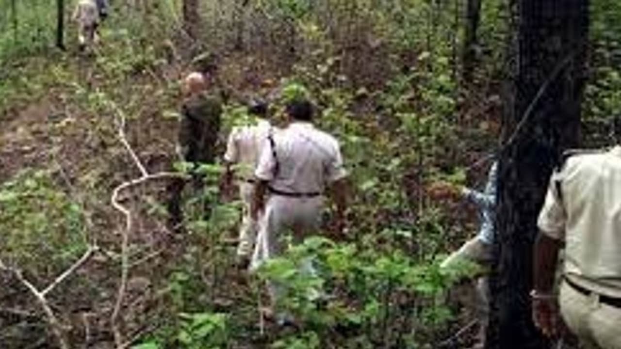 प्रेग्नेंट गर्लफ्रेंड को लेकर डेट पर गया बॉयफ्रेंड, फिर काट डाली गर्दन...शॉकिंग है महाराष्ट्र की ये वारदात प्रेग्नेंट गर्लफ्रेंड को लेकर डेट पर गया बॉयफ्रेंड, फिर काट डाली गर्दन...शॉकिंग है महाराष्ट्र की ये वारदात