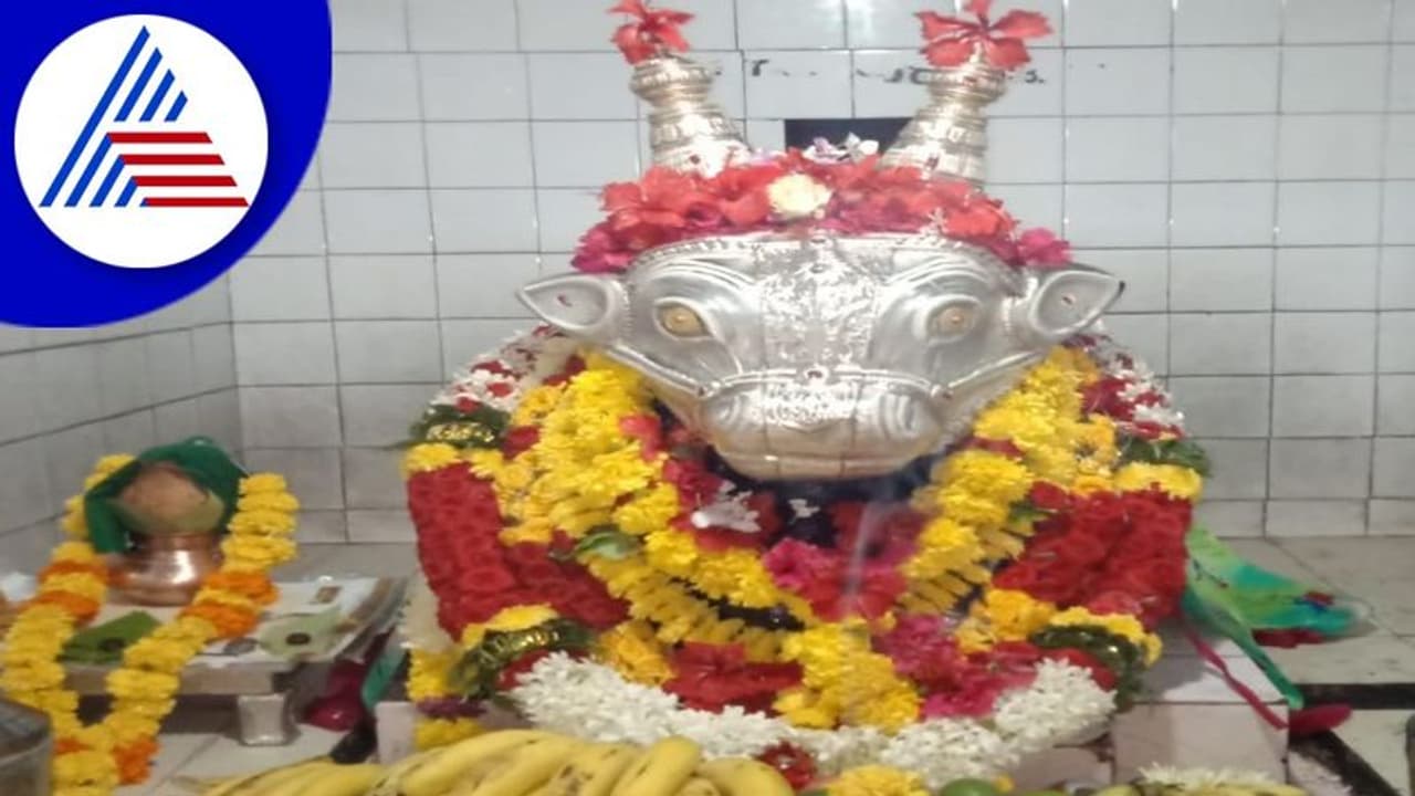 Vijayapura: 5 ದಿನಗಳ ಕಾಲ ಬಸವೇಶ್ವರ ಜಾತ್ರಾ ಮಹೋತ್ಸವ Vijayapura: 5 ದಿನಗಳ ಕಾಲ ಬಸವೇಶ್ವರ ಜಾತ್ರಾ ಮಹೋತ್ಸವ