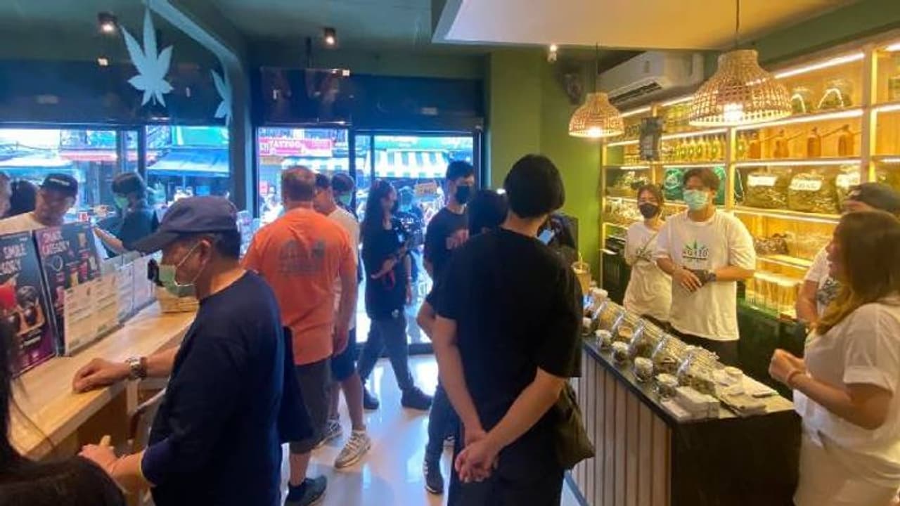 കഞ്ചാവ് ക്രിമിനൽ കുറ്റമല്ലാതാക്കി, പിന്നാലെ തായ്ലൻഡിൽ കഞ്ചാവ് കഫേ! കഞ്ചാവ് ക്രിമിനൽ കുറ്റമല്ലാതാക്കി, പിന്നാലെ തായ്ലൻഡിൽ കഞ്ചാവ് കഫേ!