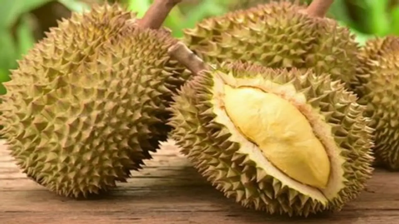 यहां मिलता है एक ऐसा फल जो है पोषण से भरपूर, लेकिन सरकार ने इस वजह से किया है बैन