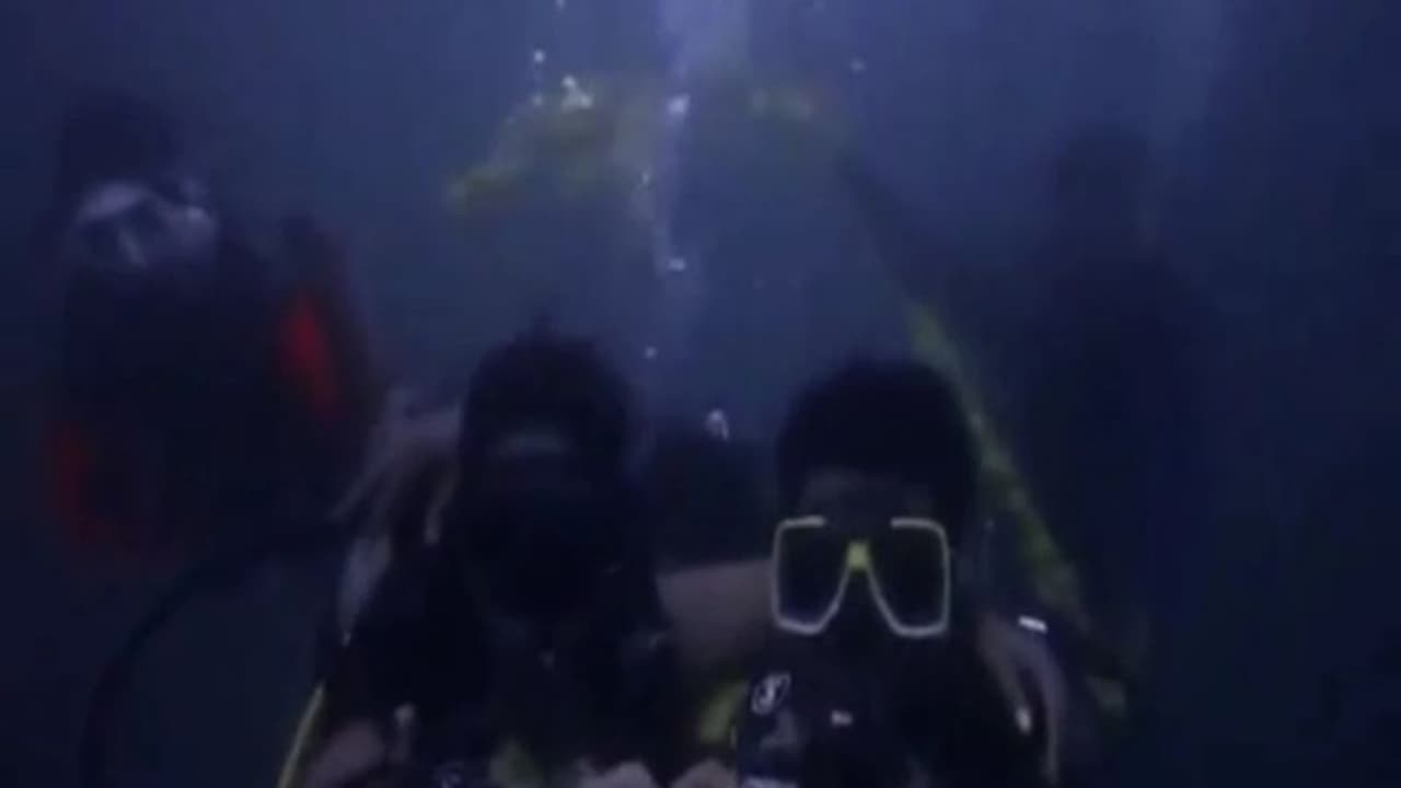 கடலில் 50 அடி ஆழத்தில் நிச்சயதார்த்தம்… கவனத்தை ஈர்த்த காதல் ஜோடியின் செயல்!! கடலில் 50 அடி ஆழத்தில் நிச்சயதார்த்தம்… கவனத்தை ஈர்த்த காதல் ஜோடியின் செயல்!!