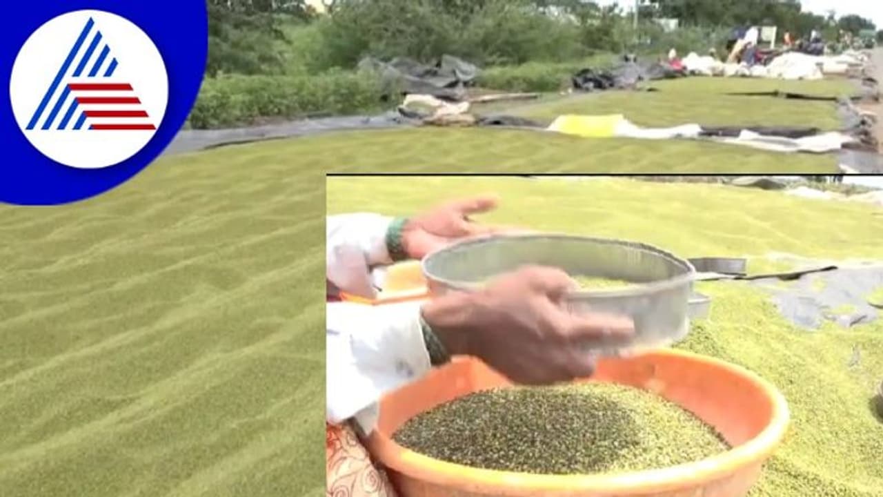 ಕೈಗೆ ಬಂದ ಹೆಸರು ಬೆಳೆ: ಖರೀದಿ ಕೇಂದ್ರ ಆರಂಭಿಸುವಂತೆ ರೈತರ ಒತ್ತಾಯ