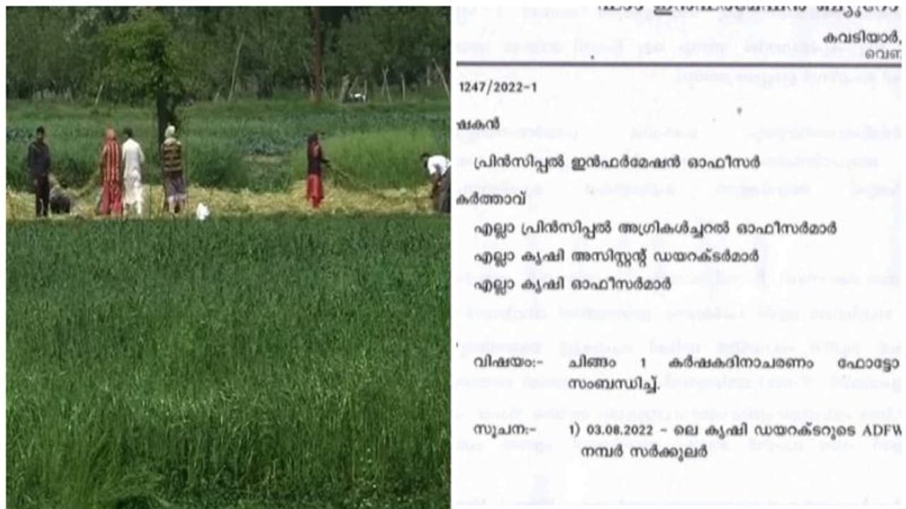 'ഞങ്ങളും കൃഷിയിലേക്ക്':ഒരു ലക്ഷം കൃഷിയിടങ്ങള്ക്ക് തുടക്കമിട്ട് സംസ്ഥാന സർക്കാരിന്റെ കർഷക ദിനാചരണം 'ഞങ്ങളും കൃഷിയിലേക്ക്':ഒരു ലക്ഷം കൃഷിയിടങ്ങള്ക്ക് തുടക്കമിട്ട് സംസ്ഥാന സർക്കാരിന്റെ കർഷക ദിനാചരണം
