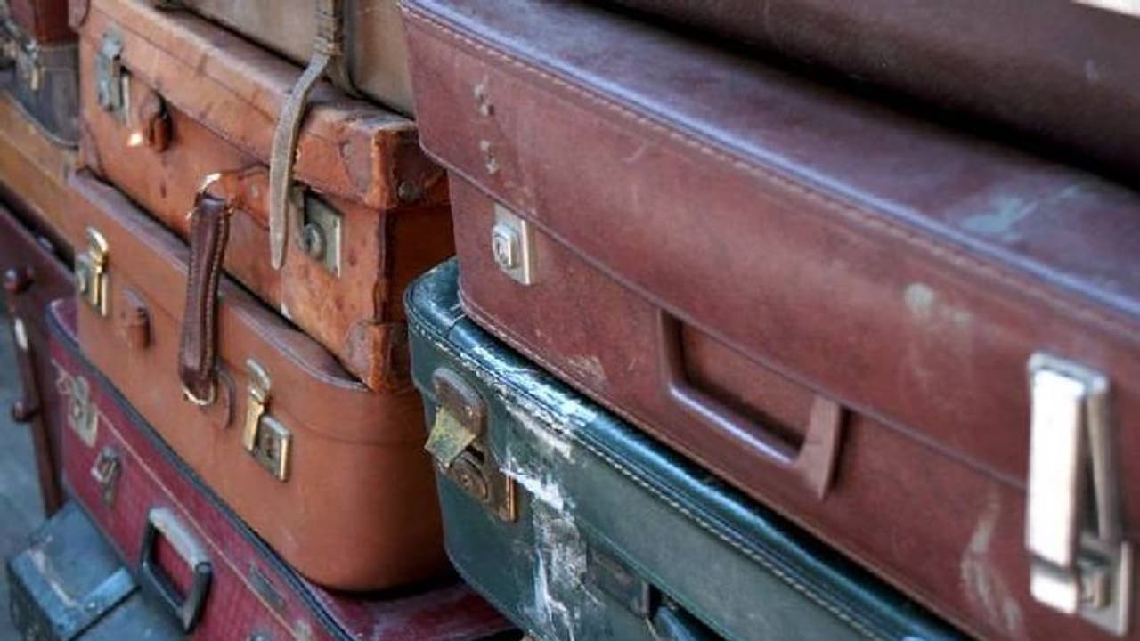 ఎయిర్పోర్టులో సూట్కేసు పోగొట్టుకుంది.. నాలుగేళ్ల తర్వాత వెతుకుతూ ఇంటికి చేరింది.. ఇదీ అసలు కథ ఎయిర్పోర్టులో సూట్కేసు పోగొట్టుకుంది.. నాలుగేళ్ల తర్వాత వెతుకుతూ ఇంటికి చేరింది.. ఇదీ అసలు కథ