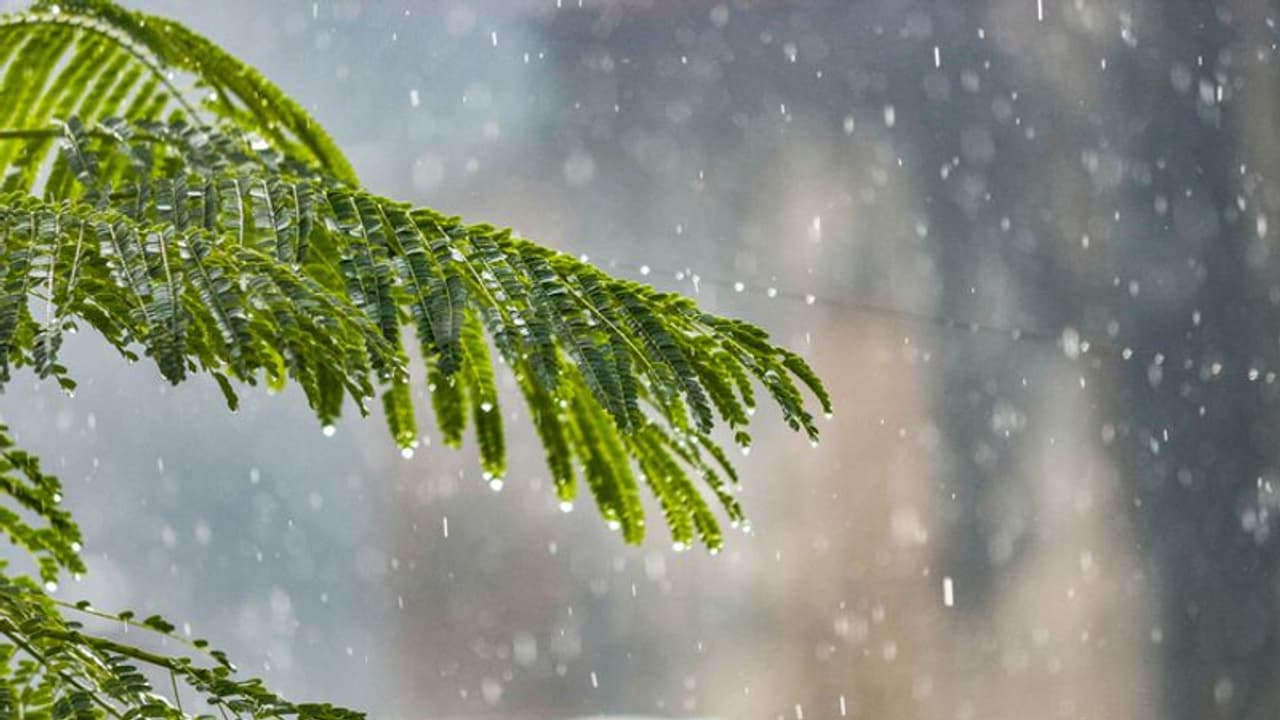 తగ్గుతున్న ఉష్ణోగ్రతలు.. దేశంలోని పలు ప్రాంతాల్లో వర్షాలు.. ఆరు రాష్ట్రాలకు ఐఎండీ 'ఆరెంజ్ అలర్ట్' తగ్గుతున్న ఉష్ణోగ్రతలు.. దేశంలోని పలు ప్రాంతాల్లో వర్షాలు.. ఆరు రాష్ట్రాలకు ఐఎండీ 'ఆరెంజ్ అలర్ట్'