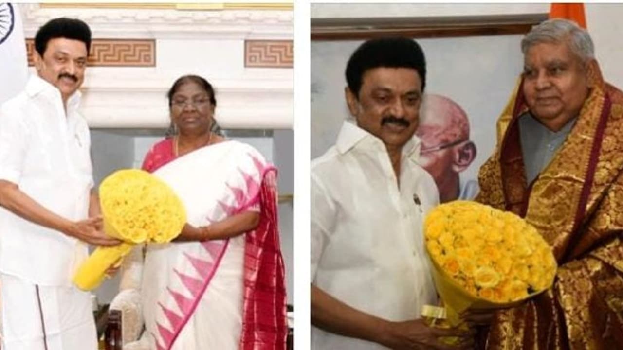 நீட் தேர்வு விலக்கு தொடர்பாக ஜனாதிபதியிடம் எந்த கோரிக்கையும் வைக்கவில்லை...! முதலமைச்சர் ஸ்டாலின் நீட் தேர்வு விலக்கு தொடர்பாக ஜனாதிபதியிடம் எந்த கோரிக்கையும் வைக்கவில்லை...! முதலமைச்சர் ஸ்டாலின்